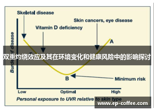 双重灼烧效应及其在环境变化和健康风险中的影响探讨