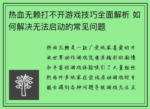 热血无赖打不开游戏技巧全面解析 如何解决无法启动的常见问题